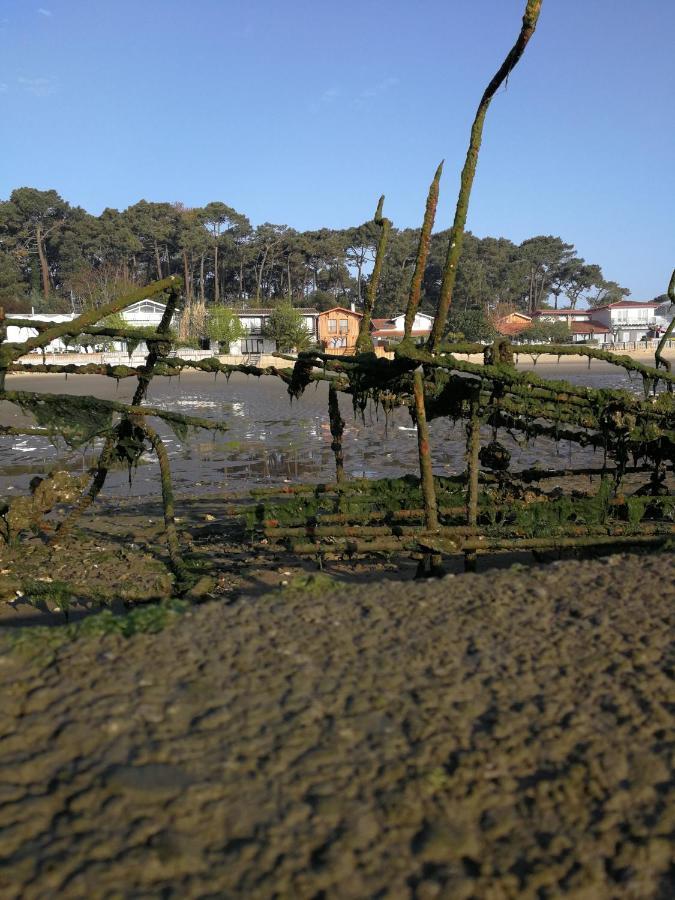 La Cabane Du Truquet Lège-Cap-Ferret Esterno foto