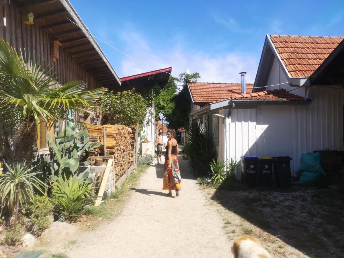 La Cabane Du Truquet Lège-Cap-Ferret Esterno foto